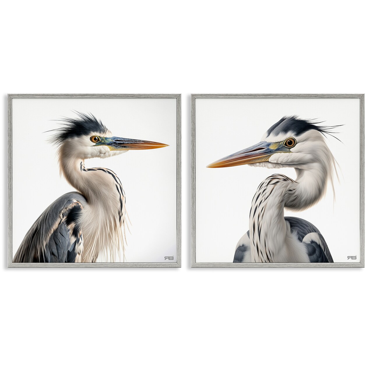 Stupell Industries Young Heron Birds 2 pc Framed Giclee Wall Art Set Design by Roozbeh Bahramali